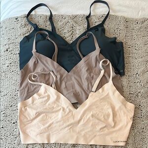 Lucky Brand Black and Tan Bras Intimates Collection